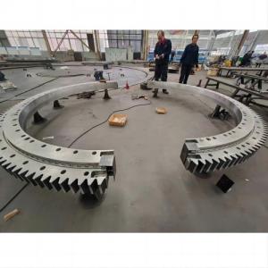 Segmented Slewing Bearing